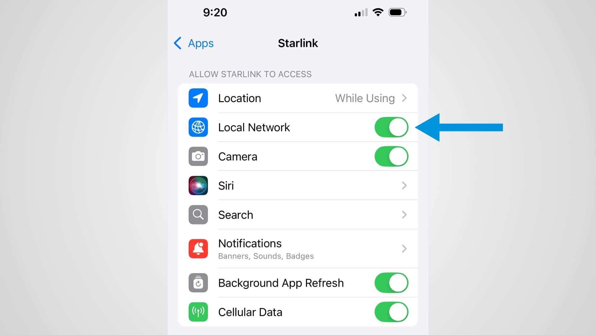 Enable local network access to allow Starlink to view the router